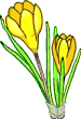 Animierte GIFS Blumen 4