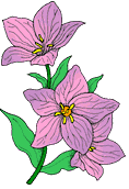 Animierte GIFS Blumen 6