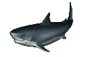 Animierte GIFS Haifische 2