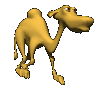 Animierte GIFS Kamele 3