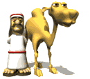Animierte GIFS Kamele 4