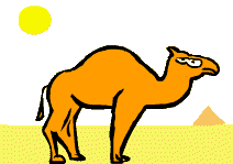 Animierte GIFS Kamele 4