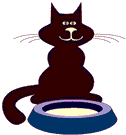 animierte GIFS Katzen