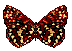 Animierte GIFS Schmetterlinge