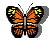 Animierte GIFS Schmetterlinge 3