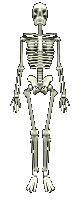 Animierte GIFS Skelette 4