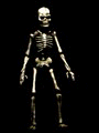 Animierte GIFS Skelette 5