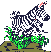 Animierte GIFS Zebras