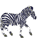 Animierte GIFS Zebras 2